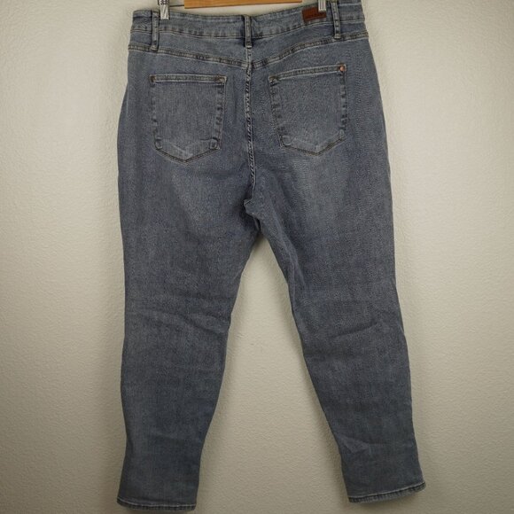 Judy Blue Boyfriend Cut Mid Rise Size 20W - Picture 5 of 9